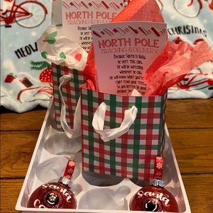 Santa Cam Christmas Ornaments